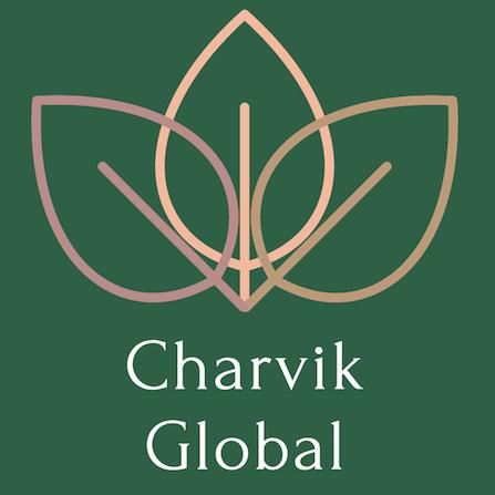 Charvik Global Logo